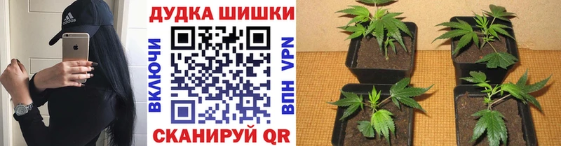 Наркошоп купить Alpha-PVP Меф мяу мяу Канабис Балабаново