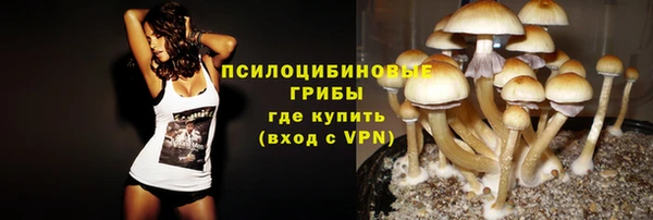 прущая мука Зеленодольск